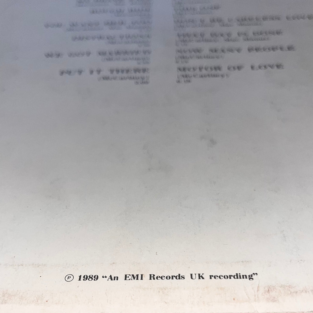 Płyta winylowa vinyl Paul McCartney Flowers In The Dirt 1989 Emi Records UK recording