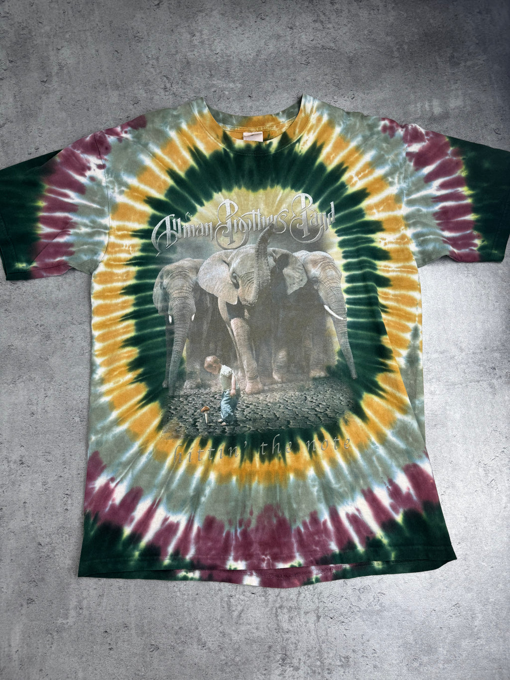 The Allman Brothers 2003 Hitting' The Note Album Tie Dye Graphic Tee Shirt Band US Tour All Summer Long Rock Koszulka Muzyczna