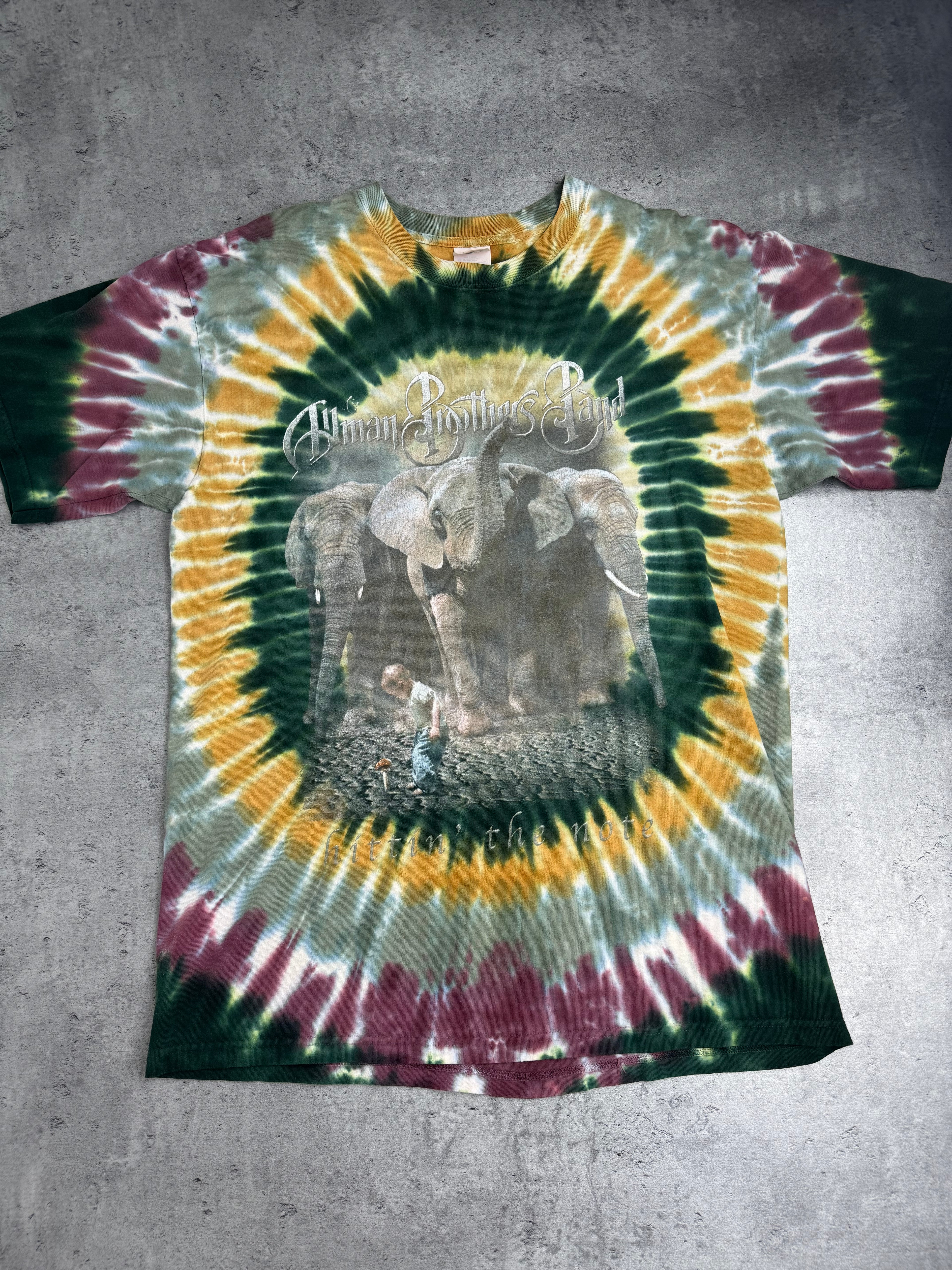 The Allman Brothers 2003 Hitting' The Note Album Tie Dye Graphic Tee Shirt Band US Tour All Summer Long Rock Koszulka Muzyczna