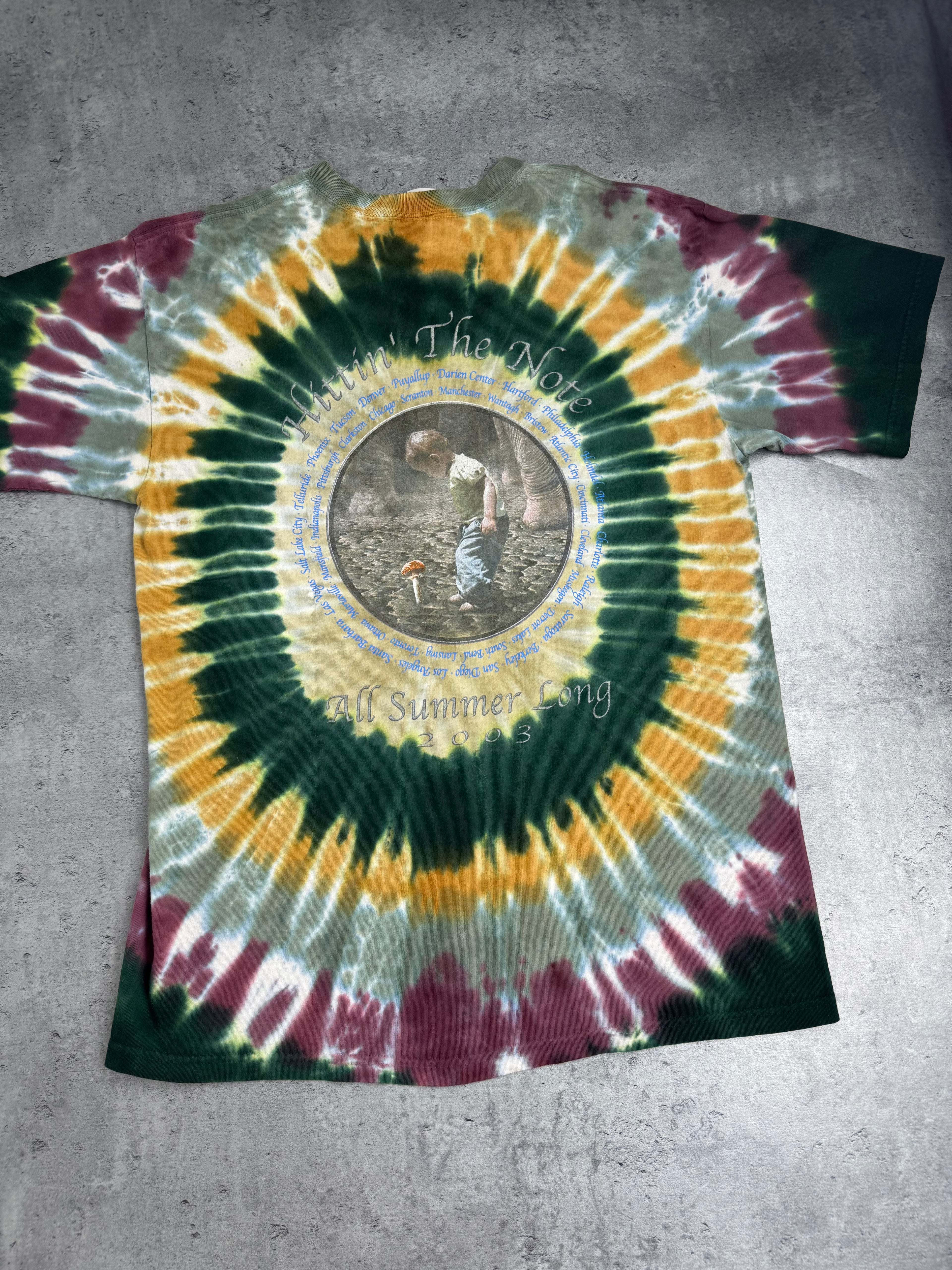 The Allman Brothers 2003 Hitting' The Note Album Tie Dye Graphic Tee Shirt Band US Tour All Summer Long Rock Koszulka Muzyczna