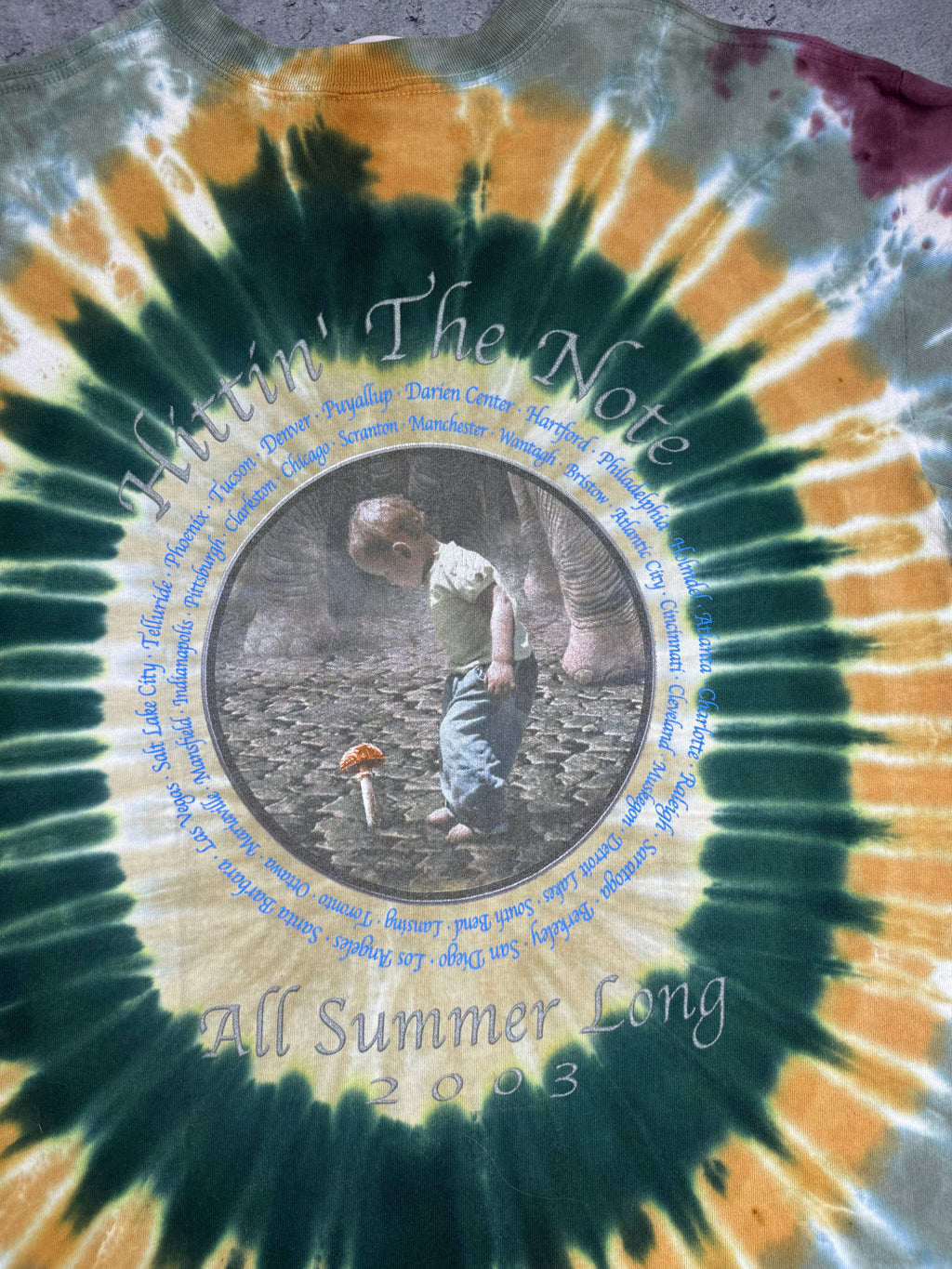 The Allman Brothers 2003 Hitting' The Note Album Tie Dye Graphic Tee Shirt Band US Tour All Summer Long Rock Koszulka Muzyczna