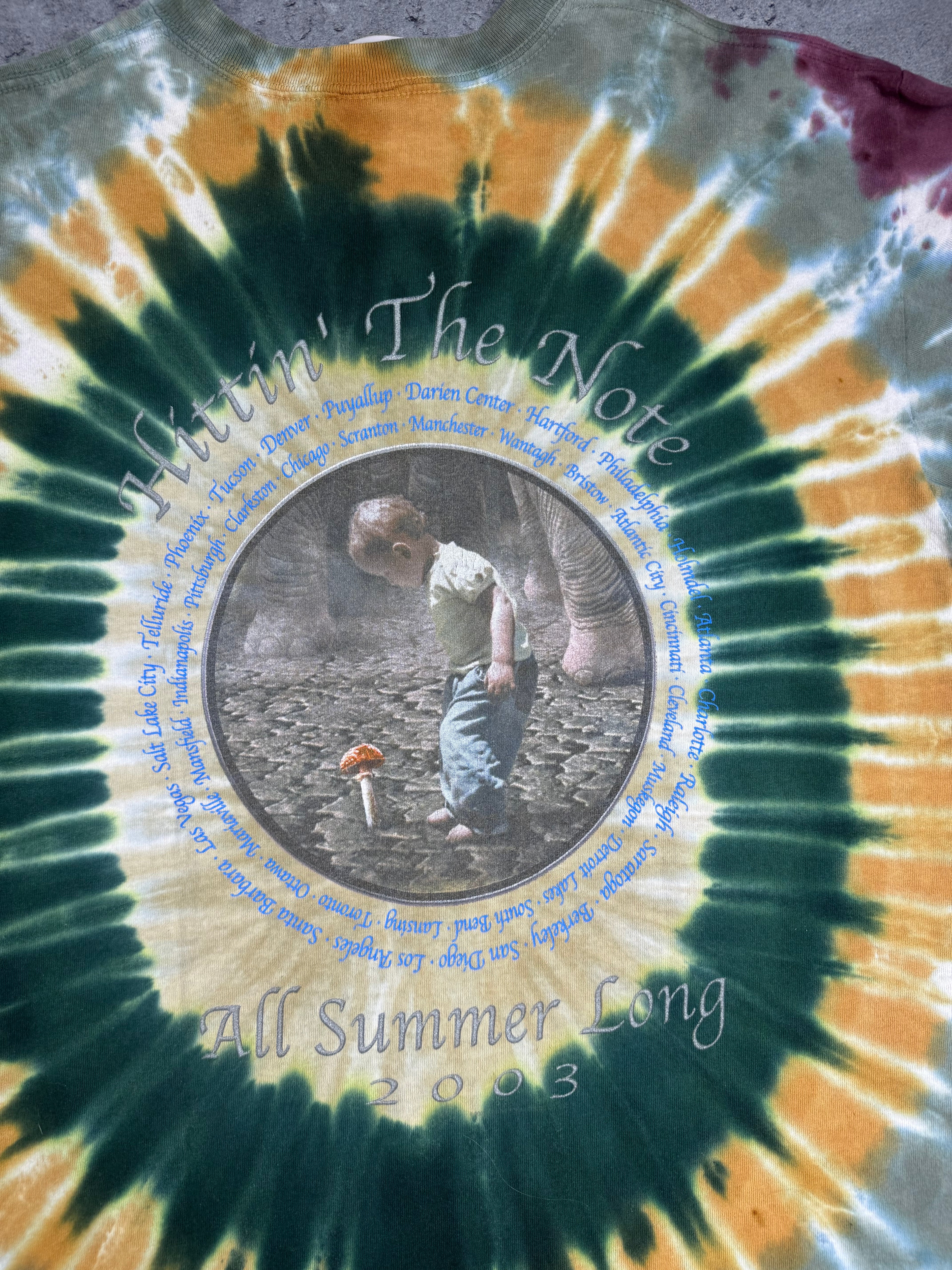 The Allman Brothers 2003 Hitting' The Note Album Tie Dye Graphic Tee Shirt Band US Tour All Summer Long Rock Koszulka Muzyczna