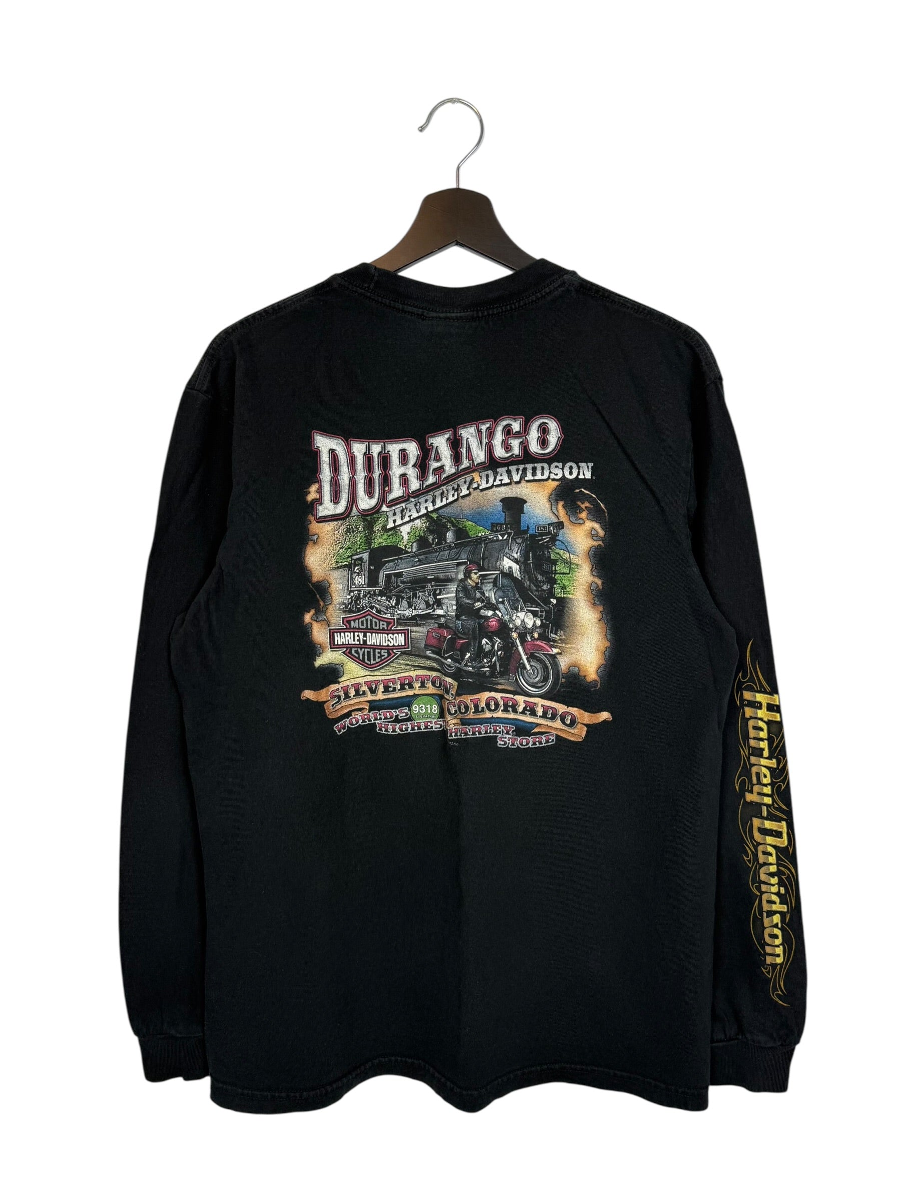 Vintage Harley Davidson Eagles Graphic Durango Silverton Colorado Long Sleeve Size L